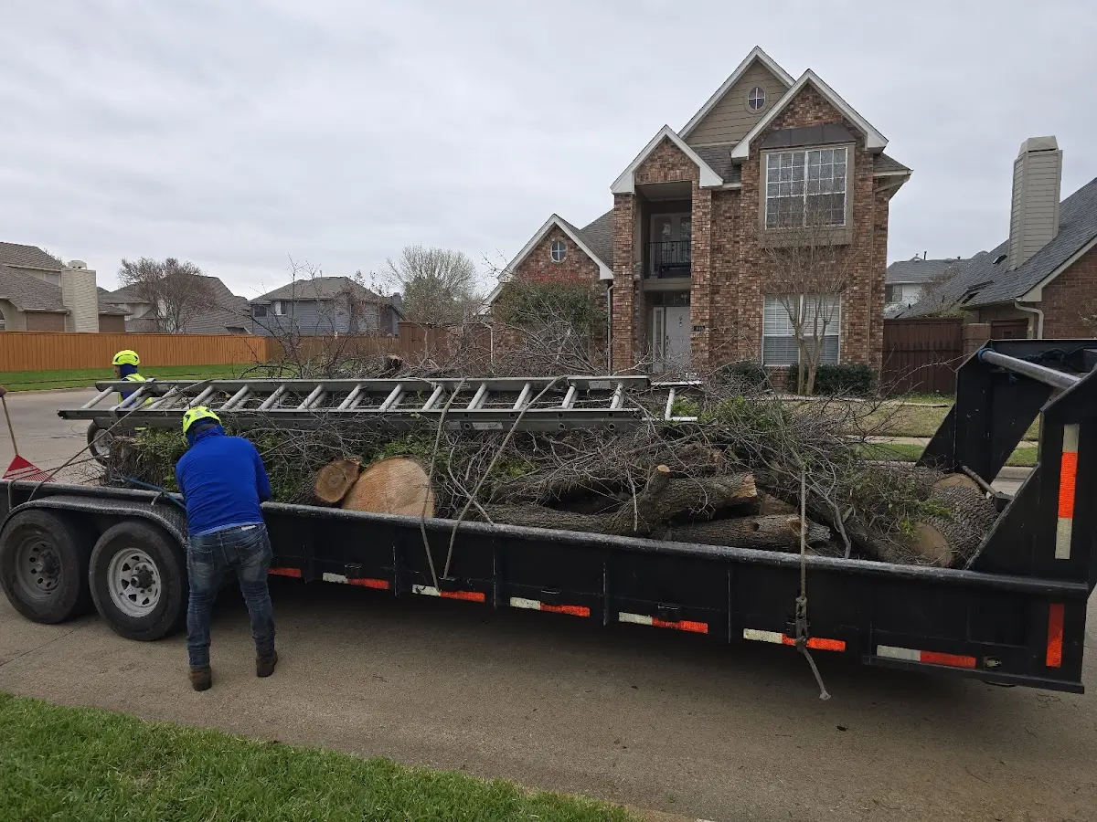 Expert Lot Clearing with proper safety equipment in Allport